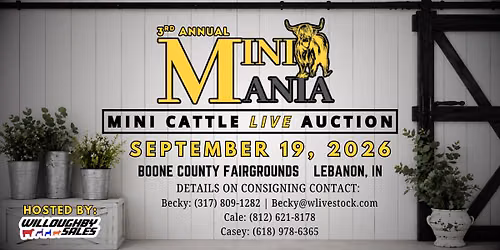 3rd Annual MINI MANIA Live Auction 