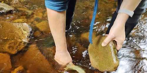 Extreme River Dipping for 8 to 12 year olds