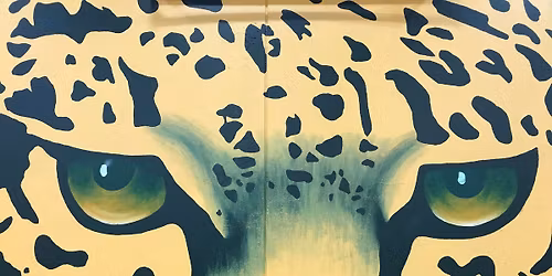 Jaguar Backer Monthly Meeting - April 2026