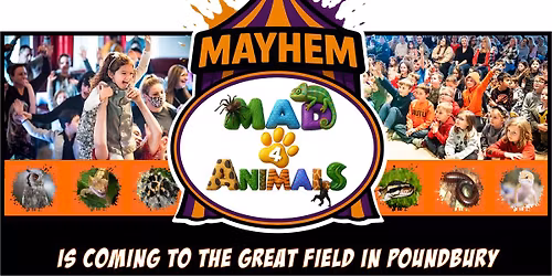 Mayhem of Mad4Animals the Great Field Poundbury