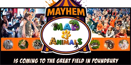 Mayhem of Mad4Animals the Great Field Poundbury