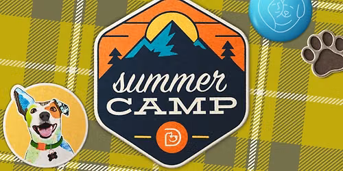 SUMMER BOARDING: \u201cBetter Boarding\u201d