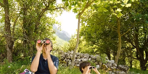 Big Bryngarw Birdwatch