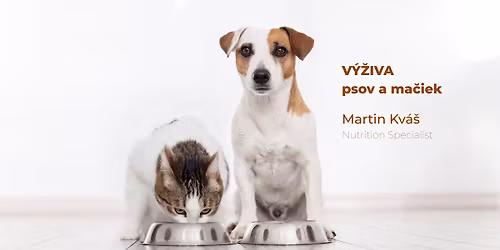 Ako spr\u00e1vne k\u0155mi\u0165 psov a ma\u010dky