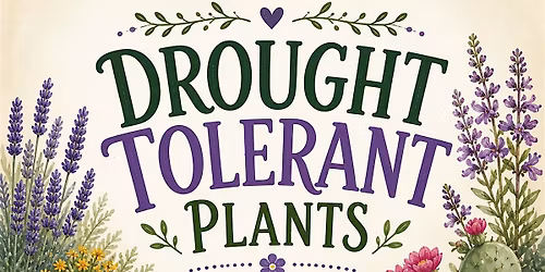 Drought Tolerant Plants