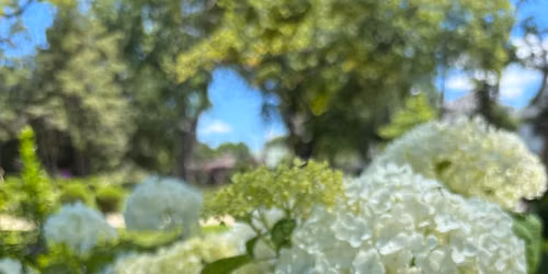 Gardening for Your Old House