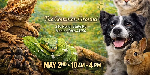 From Scales to Tails: adoption and vendor event