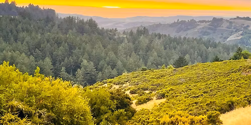 Skyline Ridge Trail Run