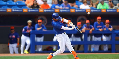 Lakeland Flying Tigers at St. Lucie Mets