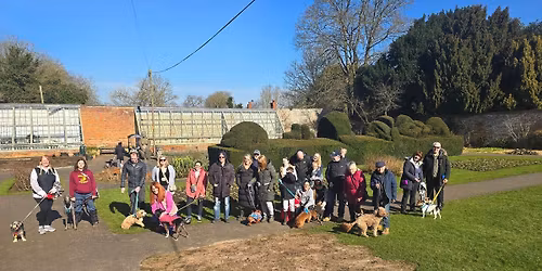 Social Sunday Walk Christmas Jumper Special