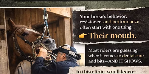 Tony Basile Equine Dentistry clinic