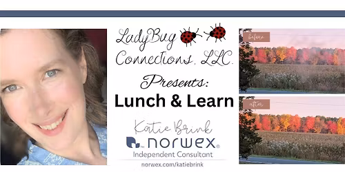 LadyBug Connections, LLC presents: Lunch & Learn with Katie Brink Norwex 