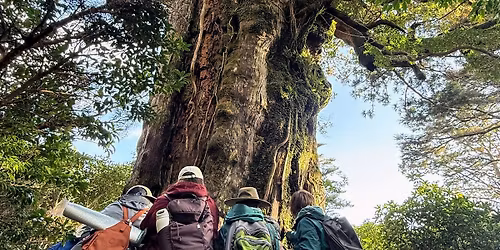 WINTER SOLSTICE Forest-bathing Hike + Sound Healing in Nature