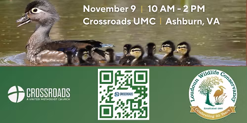 Alternative Gift Market