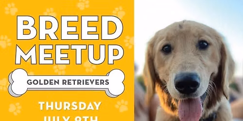 Breed Meetup: Golden Retrievers