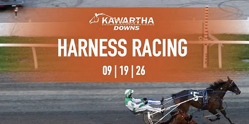 Live Harness Racing \u2013 Memorial Night