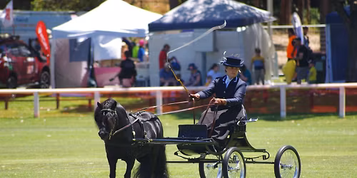 Wanneroo Agricultural Show - Carriage Driving 2025