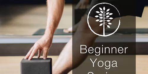 Beginner Yoga Series