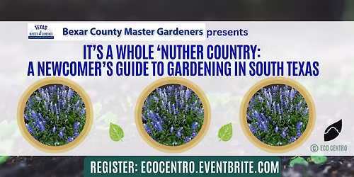 Texas! It's a Whole 'Nuther Country - Newcomers Guide to Gardening