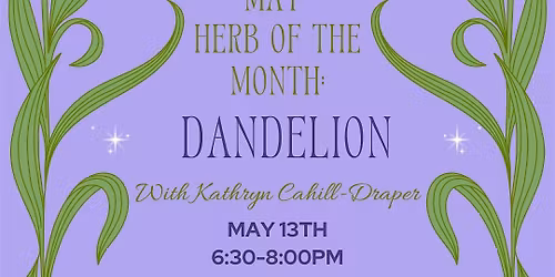 May Herb of the Month: Dandelion with Kathryn Cahill-Draper