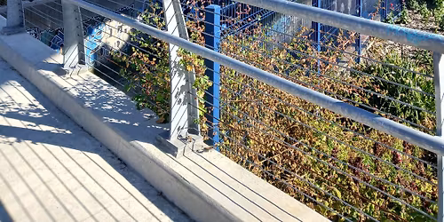 Emeryville Find-Your-Way 5K, 10K