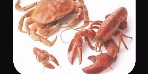 Quirky Quiz at The Ship Inn, Eastbourne