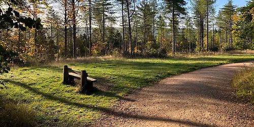 Grief walk - Wendover Woods, Buckinghamshire