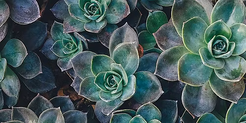 Intermediate Sanskrit Grammar [Winter]