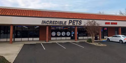 Carmichael - Dog dental cleaning