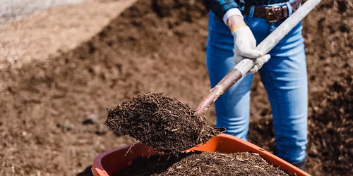 Distribution gratuite de compost