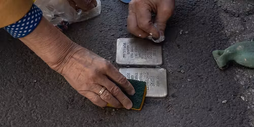 Venneforeningens pussedag