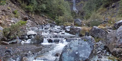 \ud83e\udd7e (M) Waitonga Falls & Blyth Hut (Ruapehu Hike)