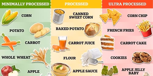 Processed Verse Ultra Processed - Hazel Jones