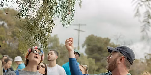 Eat the Weeds! Invasive Plant Foraging Hike + Plant ID Guide + Salad Party