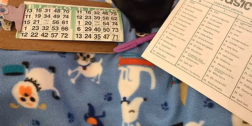 Music Bingo with Cats