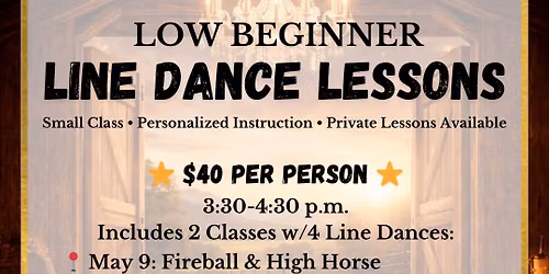 \ud83e\udd20 Low Beginner Line Dance Lessons \ud83e\udd20