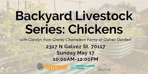 Backyard Livestock Series: Chickens