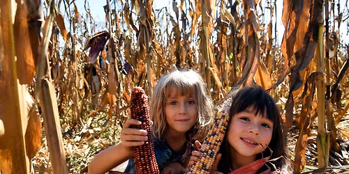 Harvest Festival