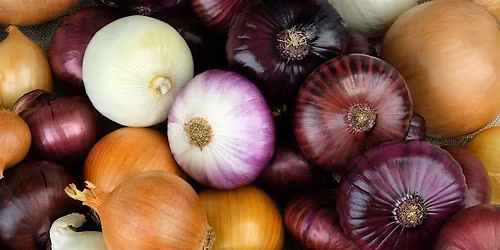 Onions!
