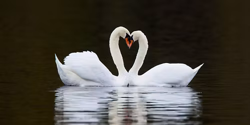 \u2018Ville Wedding Expo