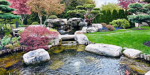 Sunset Reset: Yoga Nidra & Sound Healing (June 17th)