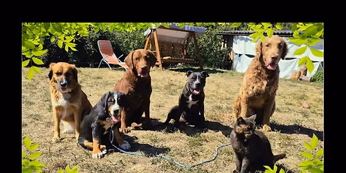 Socializa\u010dn\u00ed v\u00edkend- Nov\u00e1 \u017divoho\u0161\u0165