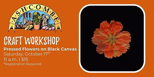 Pressed Flowers on Black Canvas