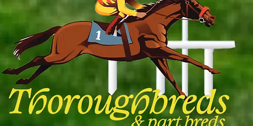 It\u2019s Just for \u2026 Thoroughbreds inc PB\u2019s PYO training with Mini Unaff dressage competition