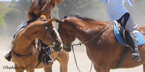Summer horsemanship weekly program 