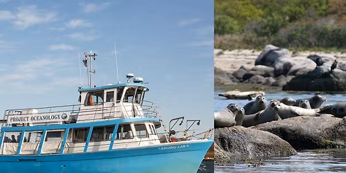 UPDATE: SOLD OUT! Seal Watch Cruise with Project Oceanology 