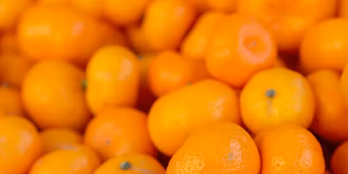 Georgia Peach Truck - Coventry, RI @ Hattoy's Nursery & Garden Center