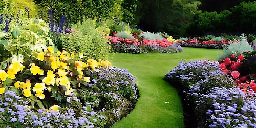 Limited Ornamental and Turf exam Prep Review