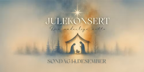 Julekonsert - Den underlige natta