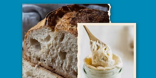Sourdough 101: Hervey Bay Workshop  \ud83e\udd56 